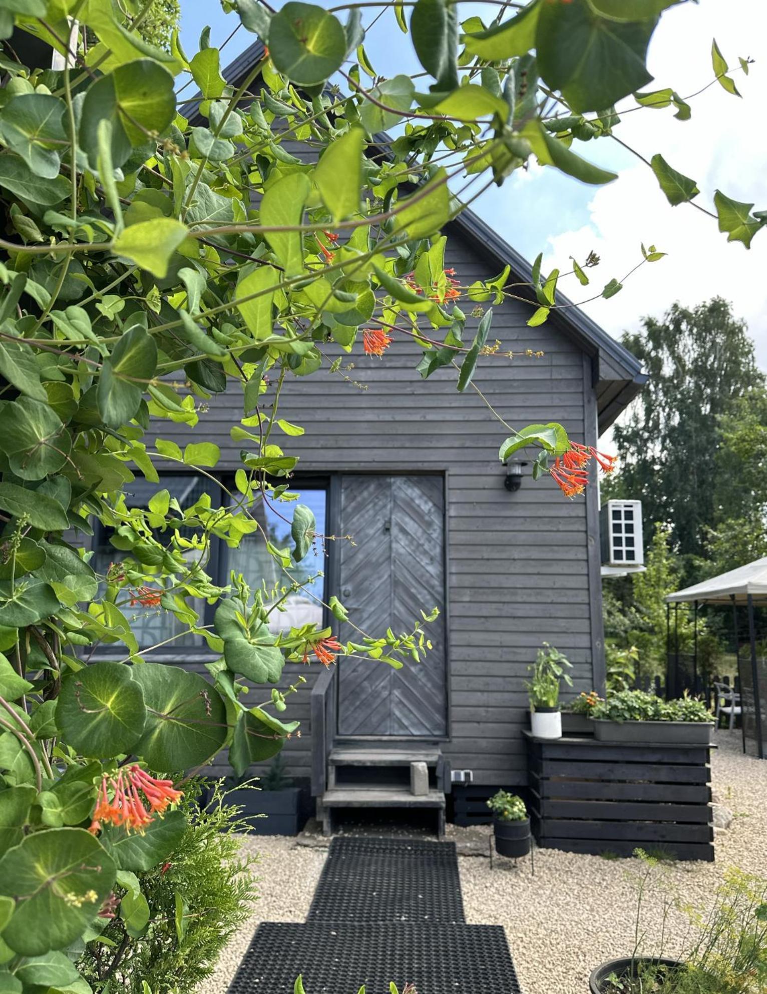 Villa Amazing Little House On An Island With Garden Riga Exterior foto